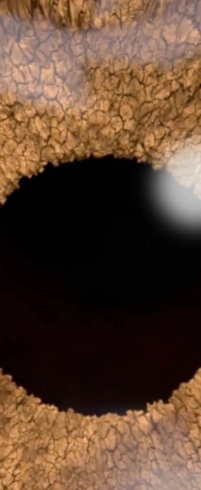 eye img
